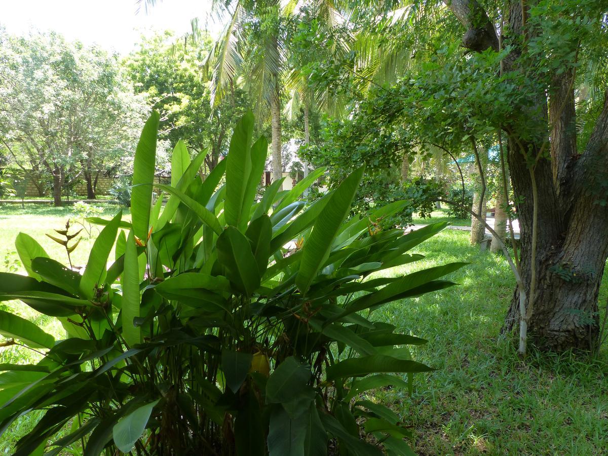 Residence Maison Müge Kilifi Dış mekan fotoğraf